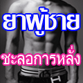 aussiethaishop.com